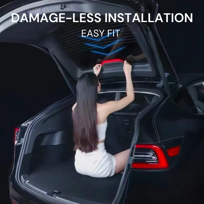 BREAK LIGHT PATTERN INSERT (MODEL Y)